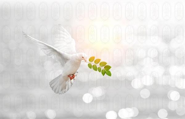 لا-للإساءة-للرموز لا للإساءة إلى الرموز!!